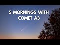 We Photographed Comet C2023 A3 Tsuchinshan Atlas 5 Mornings