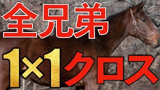 【近親】全兄弟クロス1×1の馬が色々とスゴイ。【一口馬主】