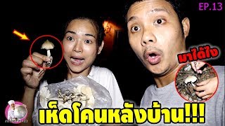 เชฟกระทะรั่ว EP.13 | เห็ดโคนขึ้นหลังบ้าน!!! ทำเมนูอะไรดี