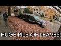 3 Man Fall Cleanup || Huge Dusty Leaf Pile!