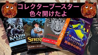 [MTG]コレクターブースター色々な種類開封するくまの嗜み