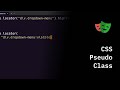Playwright Python - CSS Selector Pseudo Classes