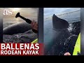 TRES BALLENAS rodean un KAYAK y dan el SUSTO de su vida a una PAREJA | Diario AS