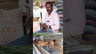 கால்நடைகளுக்கான சிறந்த தீவனம் #cow #moravasal #cowfeed #shortvideo #cattlefeed #shorts #cowfarming