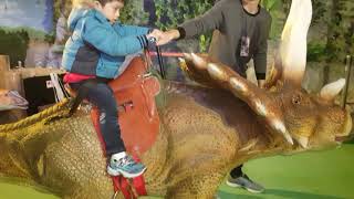 Dinosaur  exhibition 恐龍展 -騎恐龍 Riding dinosaurs