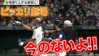 菜々緒が始球式～和田一浩“ピッカリ乱闘”からのホームラン！！　「サントリードリームマッチ」ハイライト