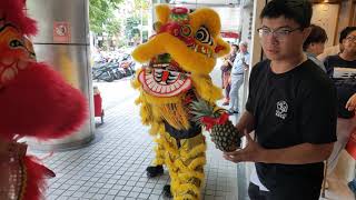 醒獅團表演 舞龍舞獅 老賴茶棧開幕 0933225518 聖義龍獅團