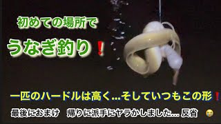 【 新規ポイント開拓 】うなぎ釣り❗️新規ポイント開拓も、一匹のハードルは高く… 動画の最後におまけ　帰り際、ヤラかしてしまいました…反省😭