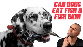 Can dogs eat fish and fish skin?  Benefits-Side effects -Serving ideas