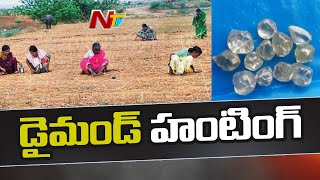 కర్నూలు జిల్లాలో వజ్రాల వేట | Hunt For Diamonds In Kurnool District | NTV