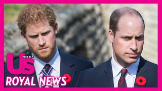 Prince Harry & Prince William To Reunite At An Upcoming Royal Wedding?