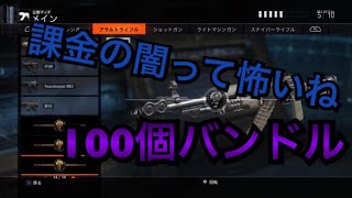 【Bo3】100個バンドル再びリベンジの時！！