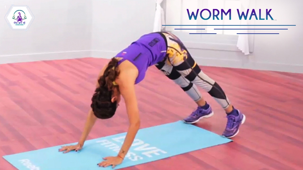 Worm Walk Exercise Sealmech