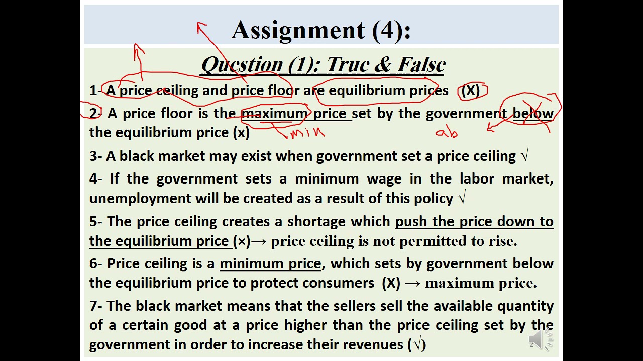 Microeconomics Assignment (4) - YouTube