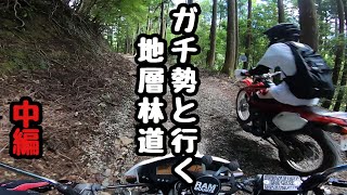 [モトブログ]ガチ勢と地層林道 中編 KLX125 XR230[motovlog]HONDA kawasaki伊豆 林道 オフロード ツーリング 原付