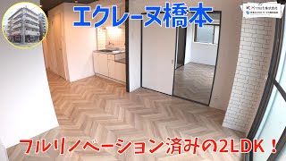 モダンテイストなデザインのお部屋を内見！【エクレーヌ橋本】