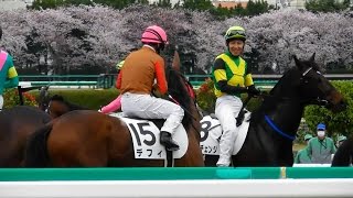 阪神競馬場３歳５００万下の輪乗り。２０１７年４月９日、現地映像