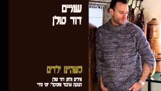 דוד סולן - \