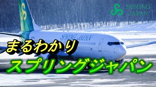 ひと味違うLCC 格安航空会社 スプリングジャパン 【春秋航空 飛行機 乗り方 ボーイング737 】