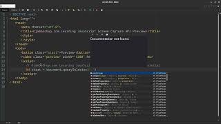 JavaScript Screen Capture API Preview