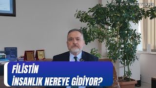 Filistin İnsanlık Nereye Gidiyor?