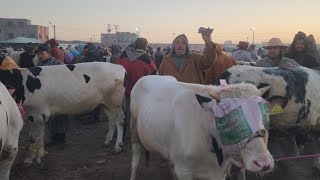 🇲🇦مباشرة من سوق الأسبوعي الأربعاء سويهلة نقدم لكم أتمنة تور كزاري تاريخ تصوير 5/2/2025