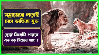 সিংহ যখন সিংহের শত্রু 🙄 The Lion king New Movie Explained in Bangla |  Movie review Bangla | Cinemon