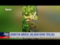 Jembatan Gantung di Probolinggo Ambruk, 37 Siswa & 2 Guru Jatuh ke Sungai Part 01 #iNewsPrime 09/09