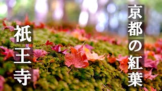 2024年11月29日🍁京都の紅葉 祇王寺 奥嵯峨