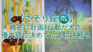 【さそり座♏】〜貴方の夢・憧れの実現化〜　緻密に計画\u0026行動が大吉　優先順位決めてたまには断る