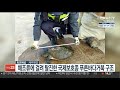 시선두기 해조류에 걸려 탈진한 국제보호종 푸른바다거북 구조 연합뉴스tv yonhapnewstv