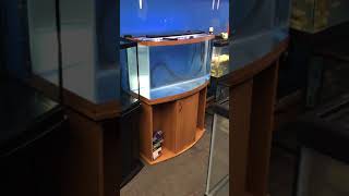 46 gallon Bowfront aquarium fish tank complete set up $300