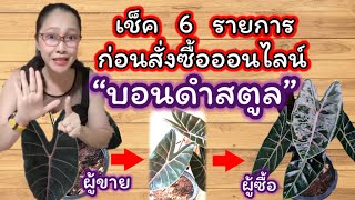 Ep25 : เช็ค 6 รายการ ก่อนสั่งซื้อออนไลน์ “บอนดำสตูล”