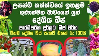 උසස්ම තත්ත්වයේ ඉහළම ගුණාත්මක භාවයෙන් යුත් දේශීය බීජ #everyone @adaberalkඅඩබෙර