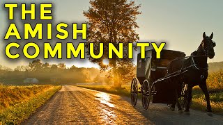 Timesuck | The Amish Life: Quaint or Terrible?