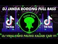 DJ JANDA BODONG VIRAL TIKTOK || Gara Gara Tak Mau Dimadu Kau Nekat Pergi