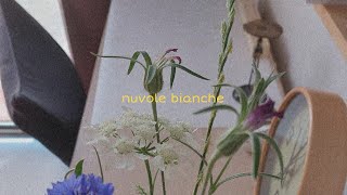 Nuvole Bianche - MV (cover)