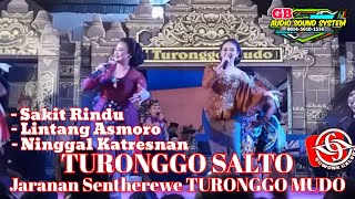 Turonggo Salto Jaranan Sentherewe TURONGGO MUDO Live Bolorejo Kauman TULUNGAGUNG - GB Audio