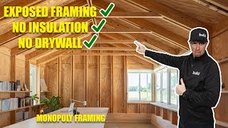 Exposed Monopoly Framing and NO INsulation - this small office Build is spectacular!