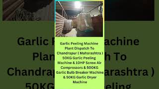 Garlic Peeling Machine Plant In Chandrapur ( Maharashtra ) | Dry garlic Peeling Machine | #rami