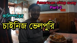 Part-2 | সোজা কালিম্পঙের হোটেলের রান্নাঘরে ঢুকে শিখে নিন আমেরিকান চপসি তৈরি। Chopsuey in kalimpong