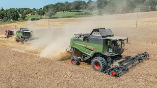 Epic Harvest | 2X Fendt Paralevel e Laverda AL Quattro | Valle San Biagio