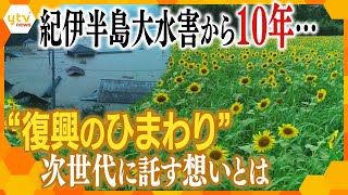 “復興のひまわり”に託す想い 紀伊半島大水害から１０年