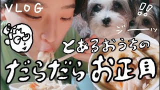 【お正月VLOG】5人のだらだらするプロと1匹の犬で時間溶かした【字幕ON！】