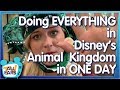 Can We Do It ALL in Disney's Animal Kingdom in ONE DAY?! ALL the Rides, ALL the Shows, ALL the Tips!