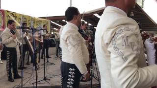 El pastor - Mariachi Vargas de Tecalitlán 05 de febrero   2017 Lienzo Charro Hermanos Ramírez