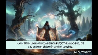 HÀNH TRÌNH LINH HỒN CỦA BẠN ĐÃ ĐƯỢC THÊM VÀO ĐIỀU GÌ? - Sau quá trình phát triển tâm linh vượt bậc.