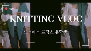 [VLOG] 🇫🇷 30년 된 실로 뜬 숄? ㅣ정체불명(?) 인형ㅣ2024년 마지막 시험  l 프랑스 대학생 일상