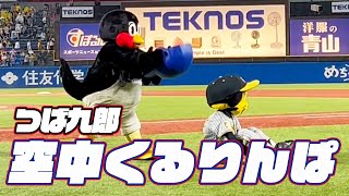 雨の中で挑戦！つば九郎空中くるりんぱ｜2024年8月7日 阪神戦（神宮球場）