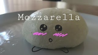 Paano gumawa ng Mozarrella Cheese| How to make mozzarella|2 Ingredients|Tagalog| Daryl cooks Ep. 3